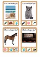 Vista previa - Juegos / Gamificación - Parejas Logicas - Portada