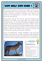 Vorschau - Arbeitsblätter - Große Lernwerkstatt "Der Hund" (Stationenlernen mit Lernheft) - Seite 2