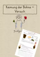 Vorschau - Arbeitsblätter - Keimung der Bohne (inkl. bearbeitbarer Datei) - Deckblatt