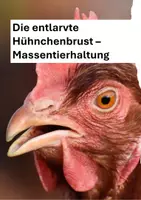 Vorschau - Stundenentwürfe - Die entlarvte Hühnchenbrust - Massentierhaltung - Deckblatt