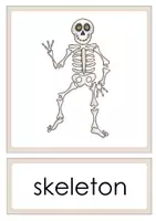 Vorschau - Bildkarten - Bild- und Wortkarten_Halloween_Patchwords - Seite 2