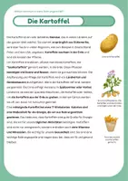Vorschau - Arbeitsblätter - Woher kommt unser Essen und was steckt drin? - Deckblatt