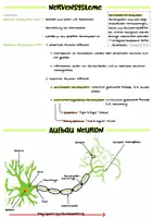 Vorschau - Merkblätter - Biologie Abitur Materialpaket - Seite 2