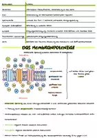 Vorschau - Merkblätter - Biologie Abitur Materialpaket - Seite 3