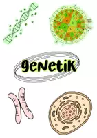Vorschau - Merkblätter - Genetik Lernzettel - Abitur 2025 - Deckblatt
