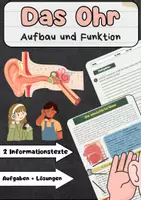 Vorschau - Arbeitsblätter - Das Ohr: Aufbau Funktion - Hörsinn einfach erklärt - Deckblatt