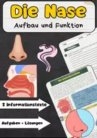 Vorschau - Arbeitsblätter - Die Nase Aufbau und Funktion - Geruchsinn erklärt - Deckblatt