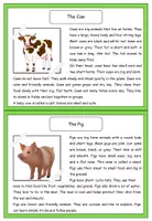 Vorschau - Arbeitsblätter - Info Cards Farm Animals - Seite 1