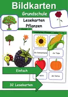 Vorschau - Spiele - Lesekarten/Bildkarten Pflanzen einfach - DaZ/DaF, Deutsch (Grundschule) - Deckblatt