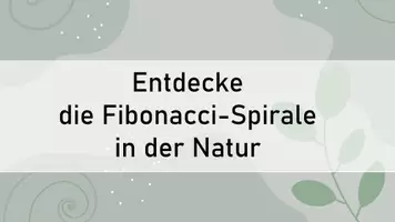 Vorschau - Präsentationen/Tafelbilder - Die Fibonaccizahlen und die Fibonacci-Spirale in der Natur - Seite 2