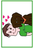 Vorschau - Bildkarten - Regelkarten Schulhund brauner Labrador - Seite 1