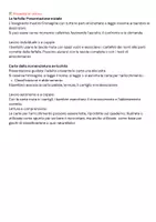 anteprima - Altro tipo di materiale - Dentro la farfalla; viaggio tra le meraviglie del corpo di un insetto impollinatore-nomenclatura arricchita - Pagina 2