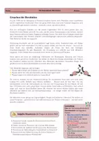 Vorschau - Arbeitsblätter - Materialpaket - GESCHICHTE Die französische Revolution - Seite 2