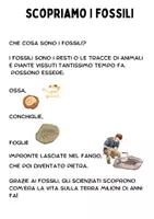 anteprima - Esercizi - Scopriamo i FOSSILI! - Pagina 1