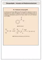 Vorschau - Arbeitsblätter - Übung Aromaten und Reaktionsmechanismen - Seite 3
