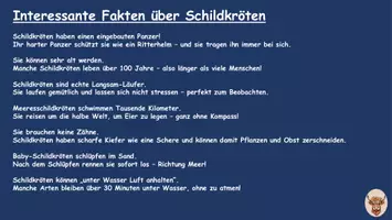 Vorschau - Mal- und Bastelvorlagen - Tilda die glitzernde Schildkröte Klasse 1-4 Kunst Meerestiere - Seite 3