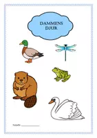 förhandsvisning - Dammens djur - sida 1