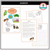 förhandsvisning - Husdjur - försättsblad