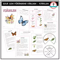 förhandsvisning - Om fjärilen - åk 2-3 - försättsblad