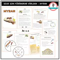 förhandsvisning - Om myran - åk 4-6 - försättsblad