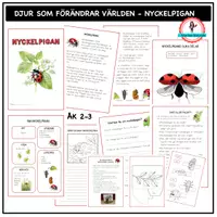 förhandsvisning - Om nyckelpigan åk 2-3 - försättsblad