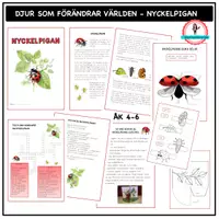 förhandsvisning - Om nyckelpigan åk 4-6 - försättsblad