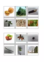Aperçu - Cartes / Images - Loto de l'hiver - Page de couverture