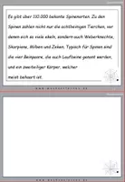 Vorschau - Fördermaterial/Inklusion - Spinnen Spezial Querbeet Fehlerteufel Materialpaket 1 - Seite 3