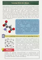 Vorschau - Arbeitsblätter - Alkane Materialpaket - Seite 2
