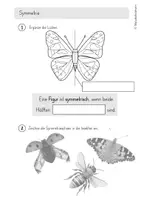 Vorschau - Arbeitsblätter - Symmetrie (Einführung an der digitalen Tafel + AB) - Seite 2