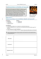 Vorschau - Arbeitsblätter - Können Metalle brennen? - Oxidationsreaktionen der Metalle - Deckblatt