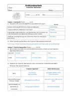 Vorschau - Arbeitsblätter - Klassenarbeit zum Thema Regenwald (Kl. 6 - 8) - Seite 3