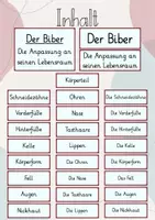 Vorschau - Präsentationen/Tafelbilder - Tafelbild: Der Biber - Die Anpassung an seinen Lebensraum - Seite 1