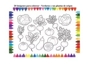 Vista previa - Manualidades / Dibujos para colorear - 20 Imágenes para colorear - Verduras y sus plantas de origen - Portada