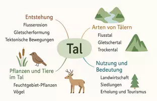 Vorschau - Arbeitsblätter - Lernposter + Arbeitsblätter "Tal" + Lösung & MP3 + Mindmap + Infografik - Seite 3