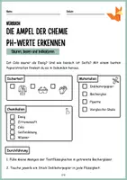 Vorschau - Arbeitsblätter - Säuren, Basen und Indikatoren - Ampel der Chemie: Theorie, Versuchsprotokoll, Arbeitsblätter, Differenziert - Seite 3