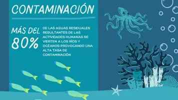 Vista previa - Unidades / Secuencias / Situaciones de Aprendizaje - Contaminación Hídrica y Pérdida de Calidad del Agua - página 1
