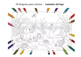 Vista previa - Manualidades / Dibujos para colorear - 20 Imágenes para colorear - Animales del lago - Portada