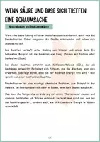 Vorschau - Arbeitsblätter - Neutralisation – Wenn Säure und Base sich treffen - Theorie, Protokoll, Arbeitsblätter, Differenziert - Seite 2