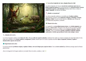 Vista previa - Manualidades / Dibujos para colorear - Animales de los bosques asiáticos Aprender y colorear - página 2