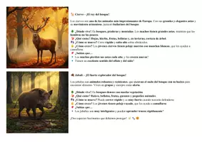 Vista previa - Manualidades / Dibujos para colorear - Animales de los bosques europeos Aprender y colorear - página 3