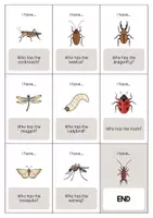 Aperçu - Jeux - Insects / Insectes: I have..., who has...? (Jeu pour le cours d'anglais) - Page 3