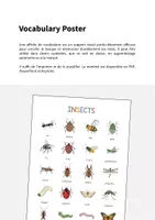 Aperçu - Affichage - Insects / Insectes: Vocabulary Poster (Affiche pour le cours d'anglais) - Page 1