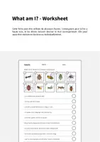 Aperçu - Cartes d'exercices - Insects / Insectes: What am I? - Worksheet (Fiche d'exercices d'anglais) - Page 1