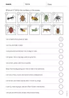 Aperçu - Cartes d'exercices - Insects / Insectes: What am I? - Worksheet (Fiche d'exercices d'anglais) - Page 2