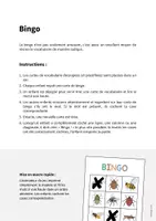 Aperçu - Jeux - INSECTS: Pack XXL de ressources pour les cours d’anglais (Insectes) - Page 2