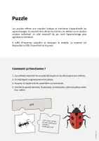 Aperçu - Jeux - Insects / Insectes: Puzzle (Puzzle pour le cours d'anglais) - Page 1