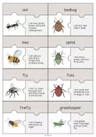 Aperçu - Jeux - Insects / Insectes: Puzzle (Puzzle pour le cours d'anglais) - Page 2