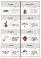 Aperçu - Jeux - Insects / Insectes: Puzzle (Puzzle pour le cours d'anglais) - Page 3