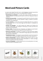 Aperçu - Affichage - Insects / Insectes: Word and Picture Cards (Cartes avec images pour le cours d'anglais) - Page 1